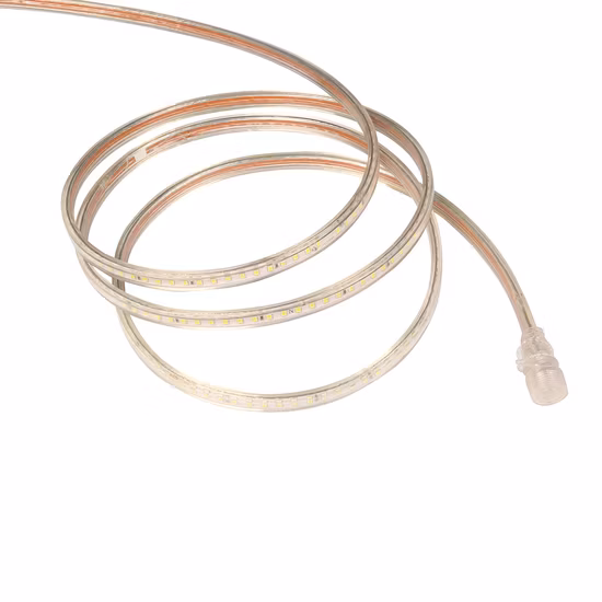 LED-Streifenlicht, wasserdicht, LED-Band, 12 V, SMD 2835, 3535, 5050, flexibles Neonlicht-Streifen-Set