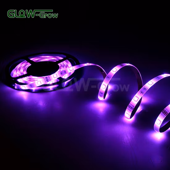 Großhandel mit wasserdichten Bluetooth-SMD-5050-RGB-LED-Streifenlichtern für die Weihnachtsdekoration zu Hause, 5 m/10 m/15 m/20 m